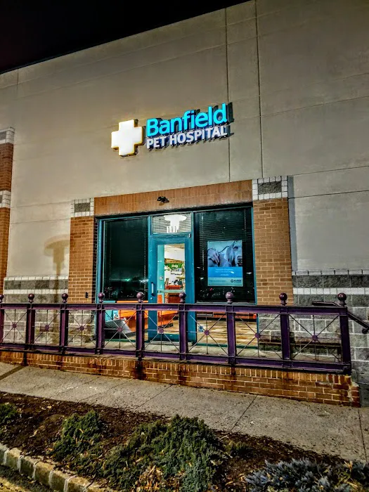 Banfield Pet Hospital 4