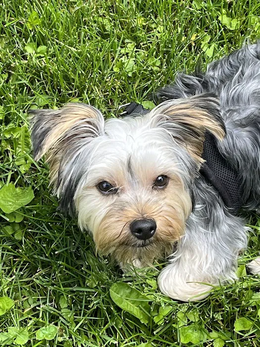 Banfield Pet Hospital 8