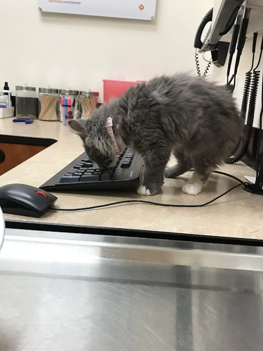Banfield Pet Hospital 6