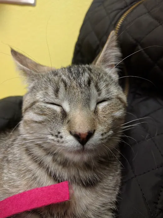 Banfield Pet Hospital 7