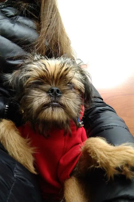 Banfield Pet Hospital 5