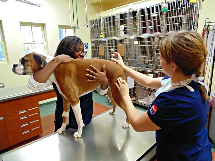 Princeton Animal Hospital & Carnegie Cat Clinic 9