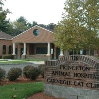 Princeton Animal Hospital & Carnegie Cat Clinic ico