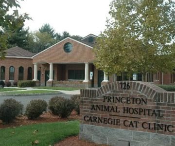 Princeton Animal Hospital & Carnegie Cat Clinic