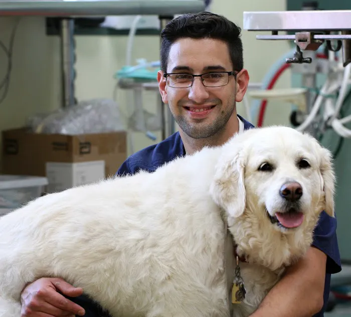 Princeton Animal Hospital & Carnegie Cat Clinic 4