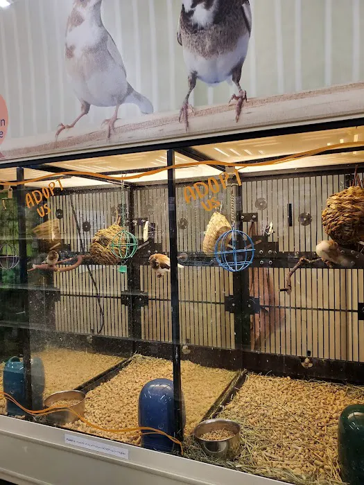 Banfield Pet Hospital 12