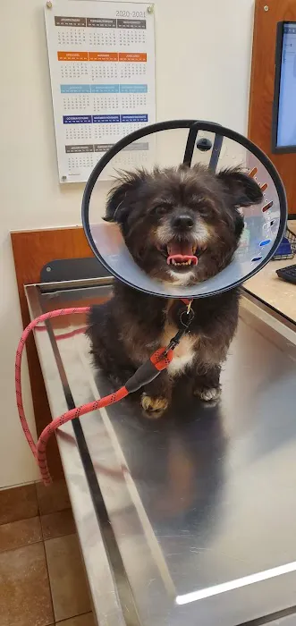 Banfield Pet Hospital 12
