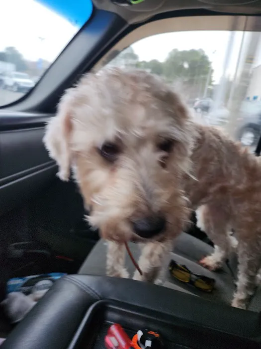 Banfield Pet Hospital 12
