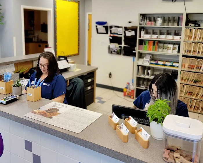 VCA Gwynedd Animal Hospital 5