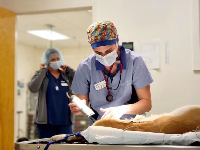 VCA Gwynedd Animal Hospital 7