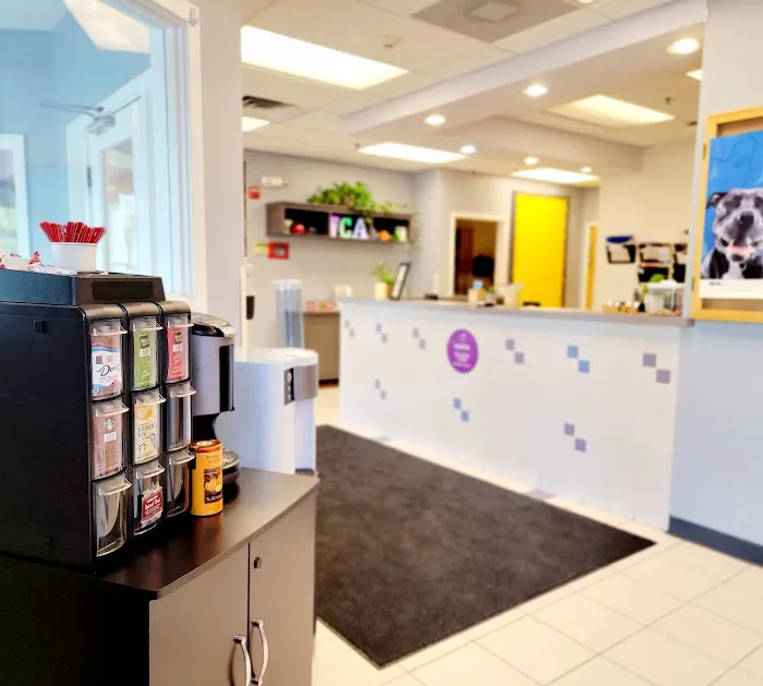 VCA Gwynedd Animal Hospital 10