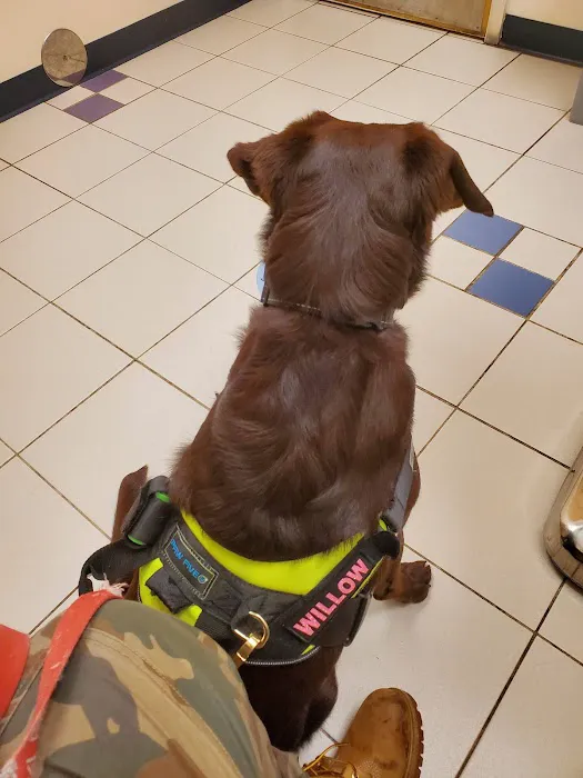 VCA Gwynedd Animal Hospital 9
