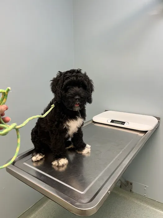 Schwenksville Veterinary Hospital 12
