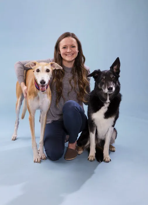 Limerick Veterinary Hospital 5