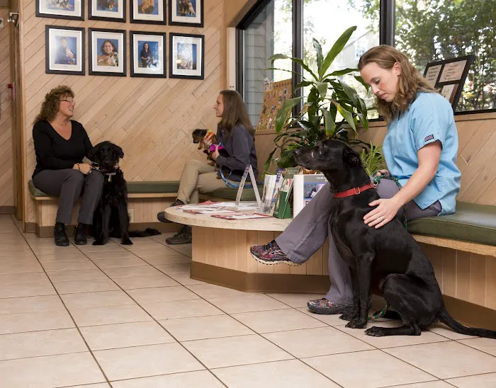Limerick Veterinary Hospital 6