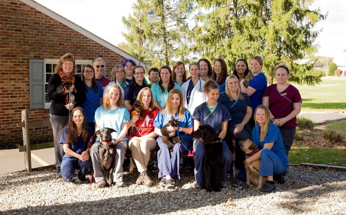Limerick Veterinary Hospital 4