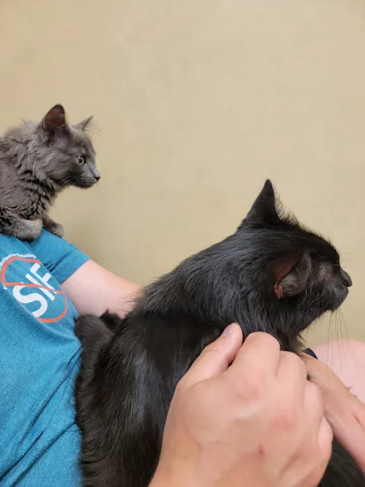 Harleysville Veterinary Hospital 12
