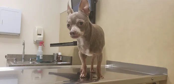 Harleysville Veterinary Hospital 12