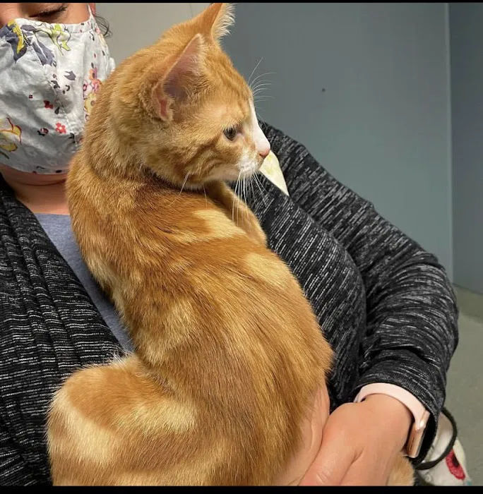 Animal Crackers Veterinary Clinic 1
