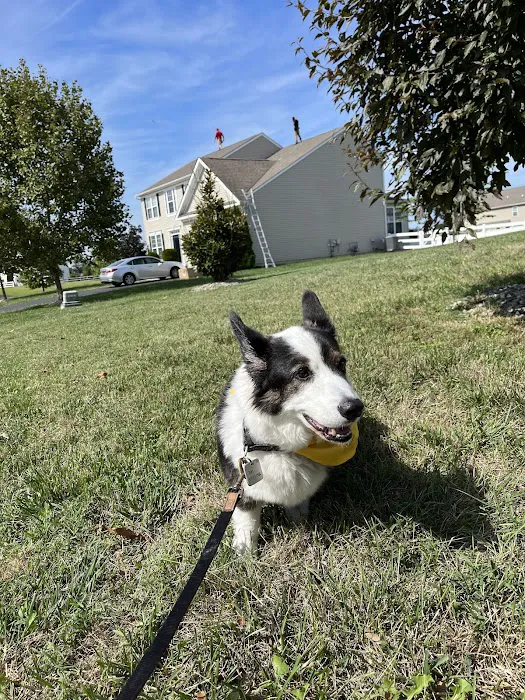 Viking Veterinary Services 7