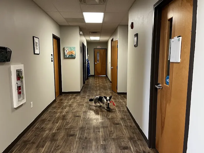 Viking Veterinary Services 1