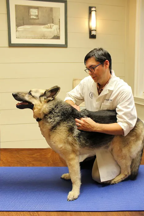 Doylestown Veterinary Hospital & Holistic Pet Care 12