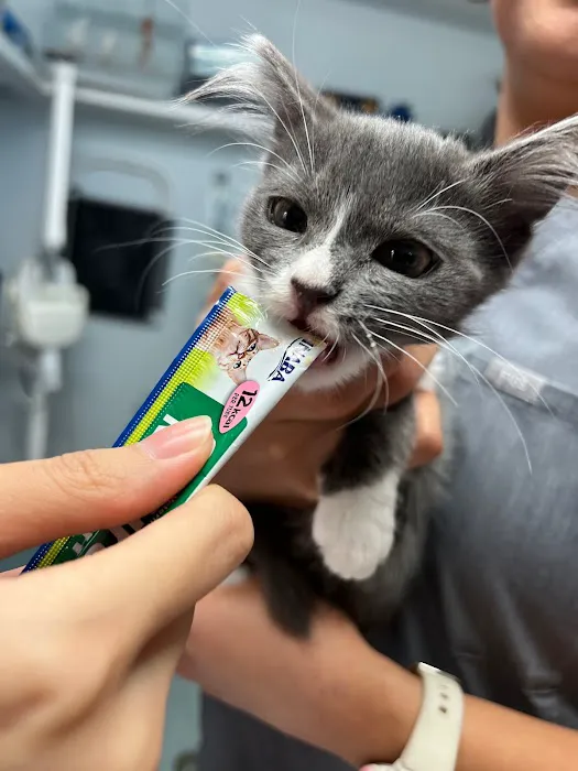 Brook-Ellis Pet Hospital 3