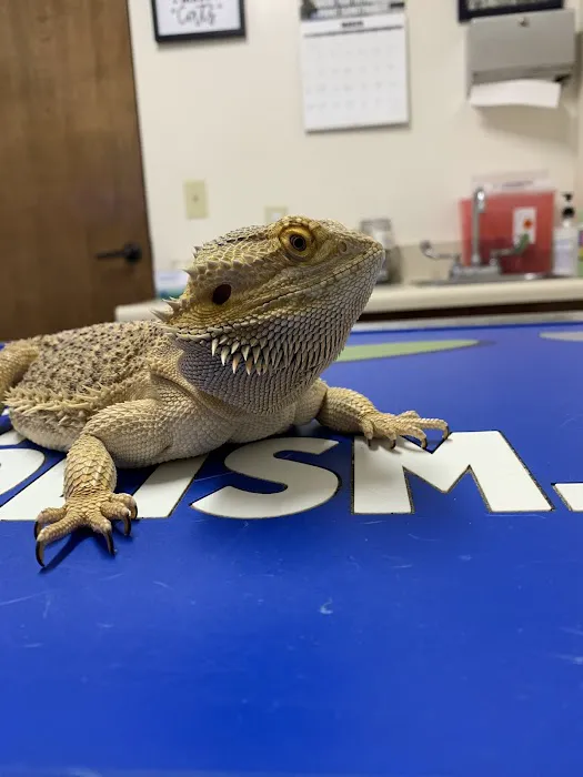 Brook-Ellis Pet Hospital 1