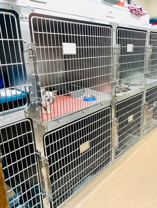 Brook-Ellis Pet Hospital 4