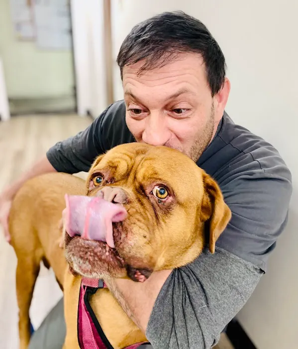 Brook-Ellis Pet Hospital 7