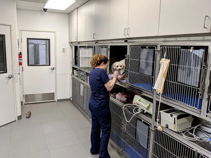 Alona Animal Hospital 3