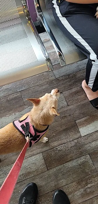 Alona Animal Hospital 8