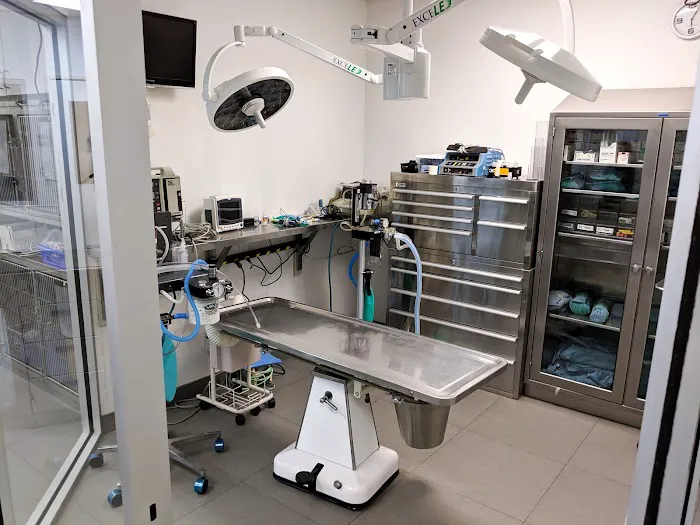 Alona Animal Hospital 6