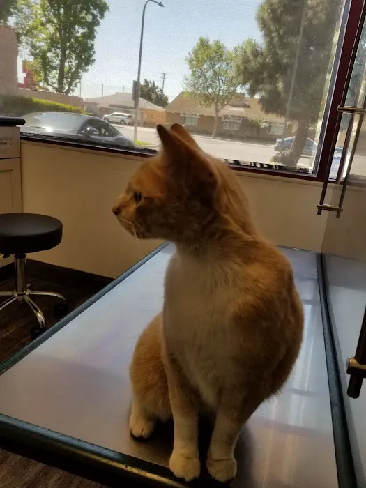 Alona Animal Hospital 7