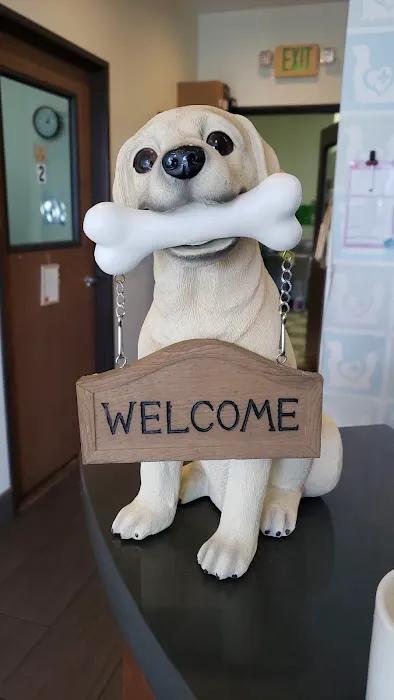 Bristol Memory Animal Clinic 1