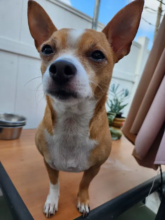 Bristol Memory Animal Clinic 4