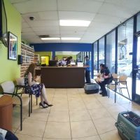 Animal Medical Center ico