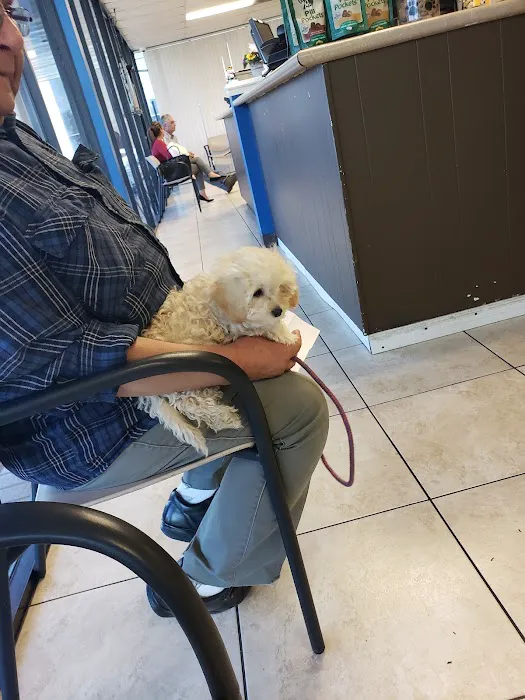 Animal Medical Center 2