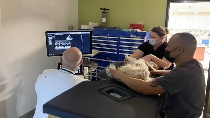 Animal Medical Center 10