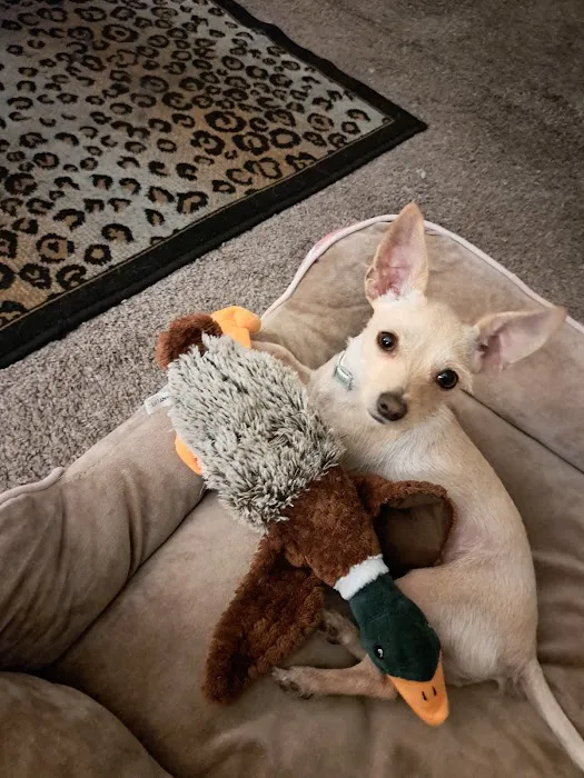 Affordable Animal Hospital: Santa Ana 9