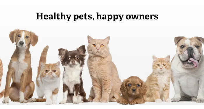 Affordable Animal Hospital: Santa Ana 8