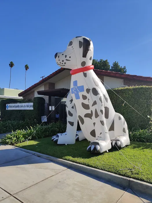 Affordable Animal Hospital: Santa Ana 3