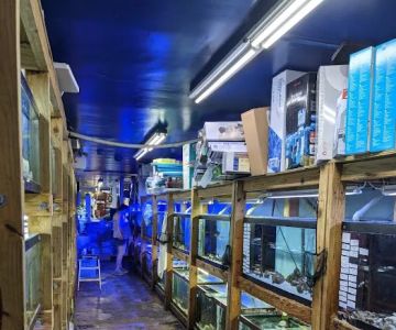 Tropical Lagoon Aquarium