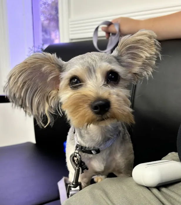 Mile Square Animal Hospital 8