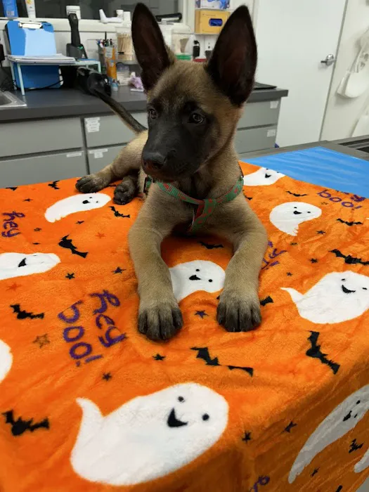 Mile Square Animal Hospital 5