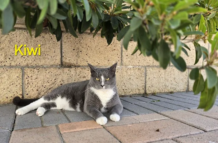 Mile Square Animal Hospital 1