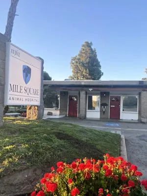 Mile Square Animal Hospital 2