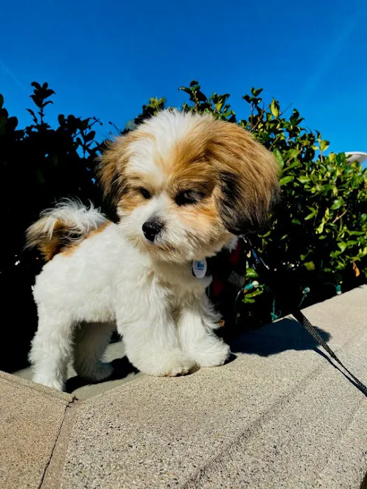 Mile Square Animal Hospital 7
