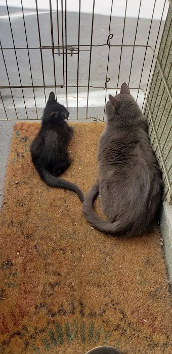Broadway Pet Hospital 5