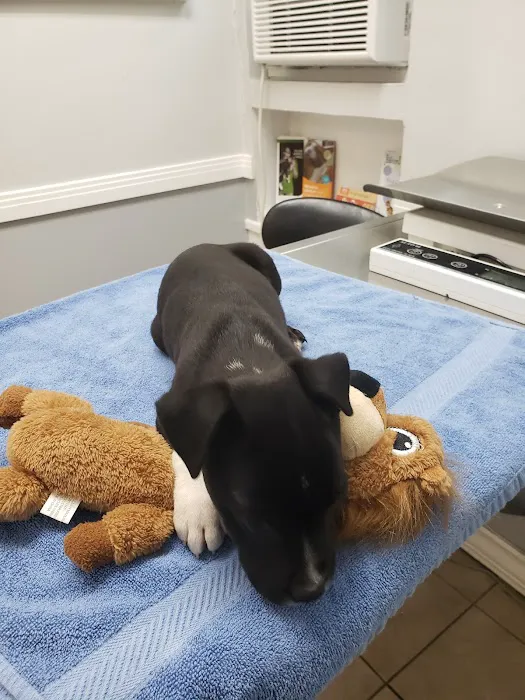 Broadway Pet Hospital 7
